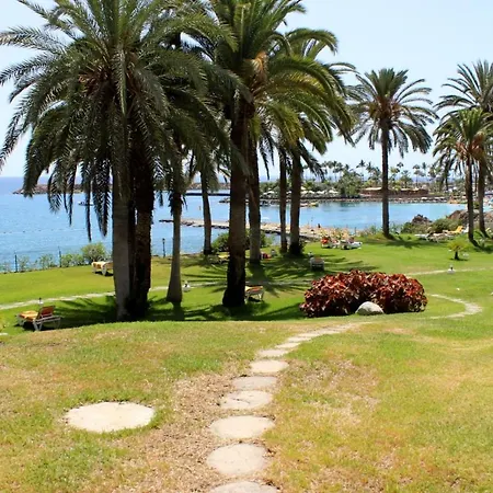 Patalavaca